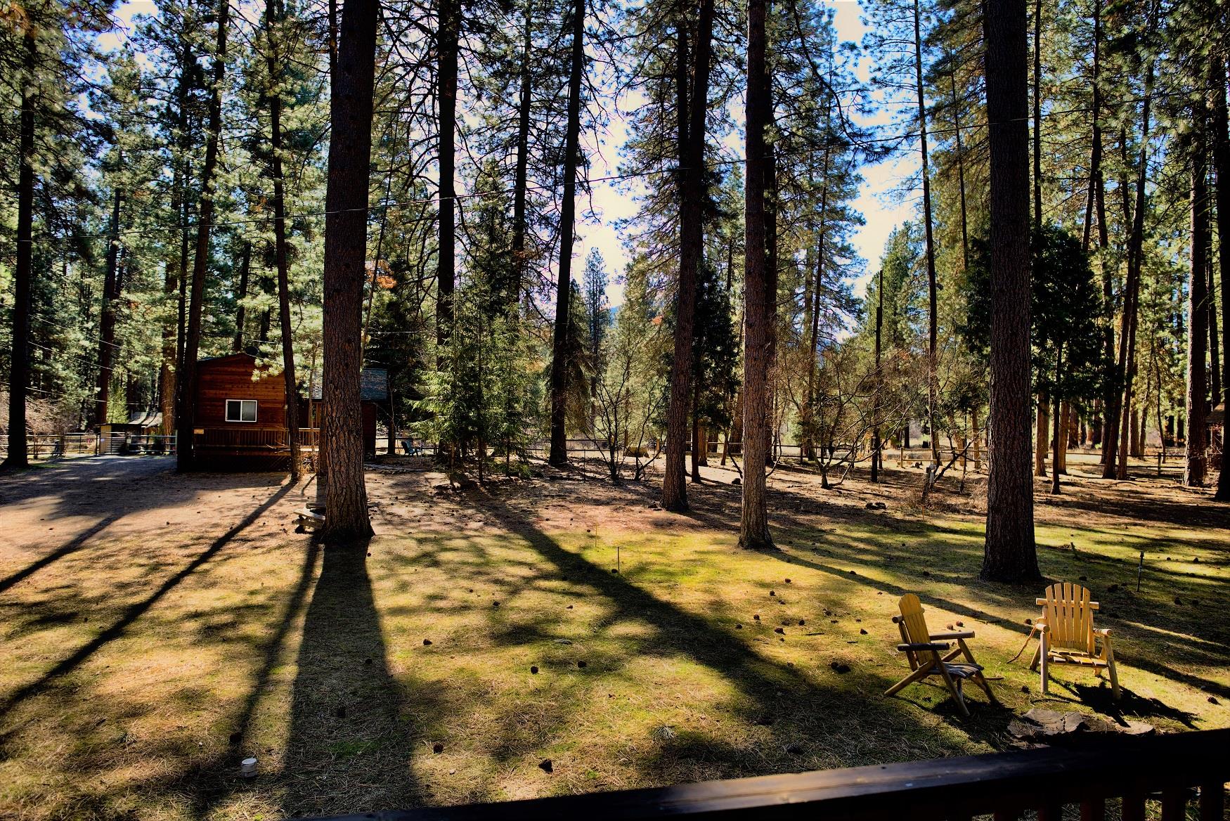 A perfect view of the Camp Sherman wilderness, off the deck of Ponderosa Cabin, at Cold Springs Resort