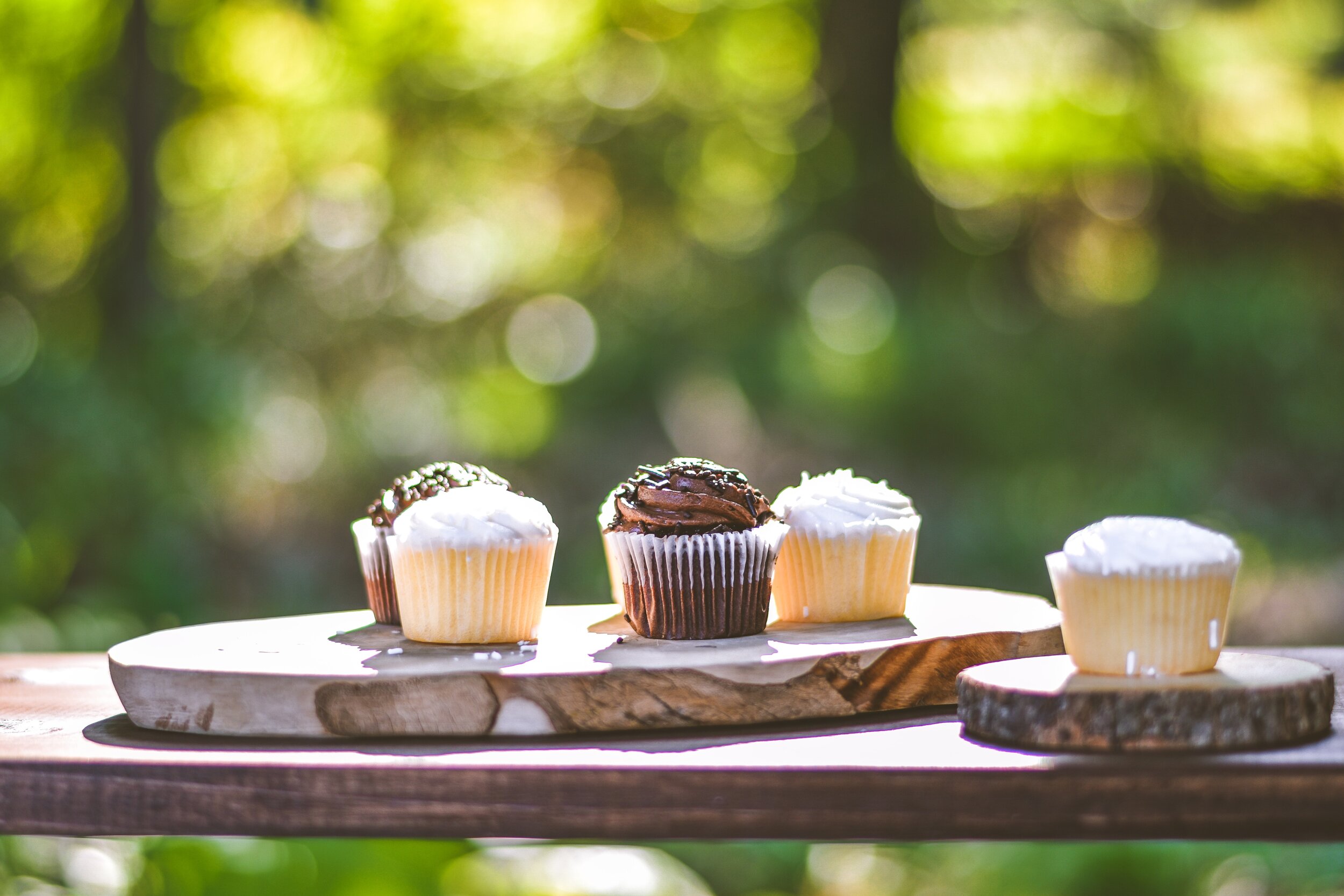 Cupcakes on a wood platter in the woods. Come celebrate your birthday at Cold Springs Resort in Camp Sherman, Oregon.